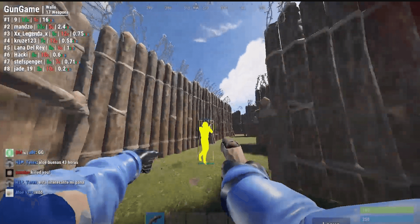 COVCHEG RUST 2